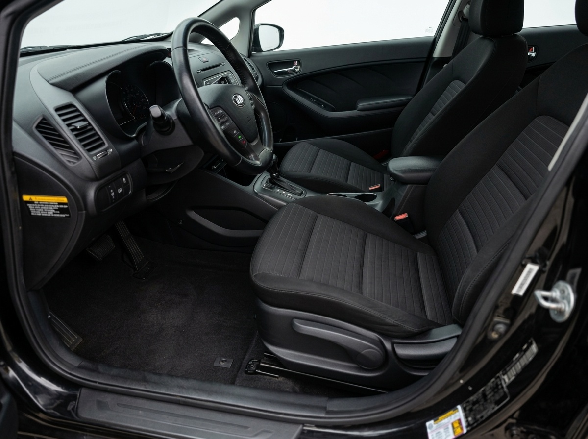 2015 Kia Forte thumbnail 10